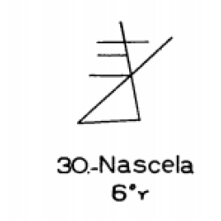  30: Nascela 