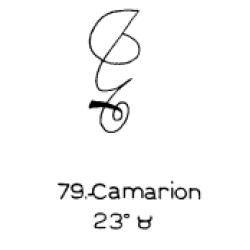  77: Camalo 