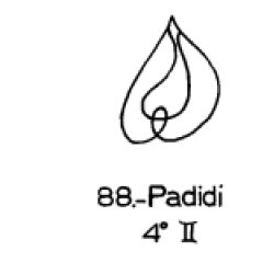  88: Padidi 