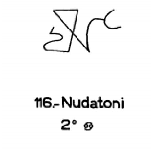  116: Nudatoni 