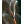 Incenses