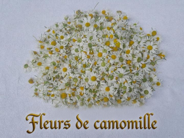 camomille.jpg