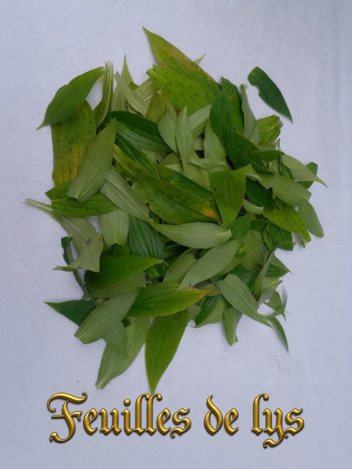 lys